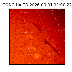 gong - 2026-09-01T11:00:22