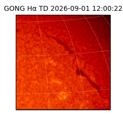 gong - 2026-09-01T12:00:22