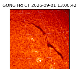 gong - 2026-09-01T13:00:42