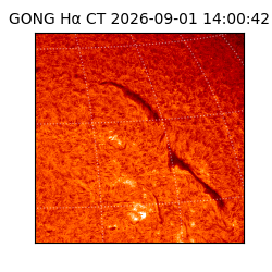 gong - 2026-09-01T14:00:42