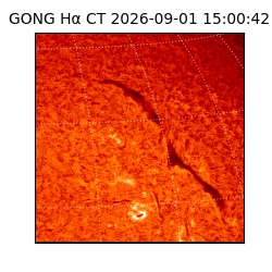 gong - 2026-09-01T15:00:42