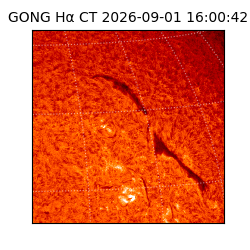 gong - 2026-09-01T16:00:42