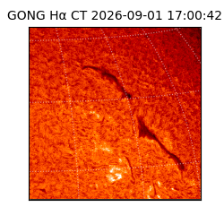 gong - 2026-09-01T17:00:42
