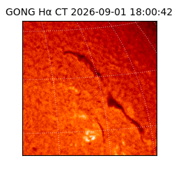 gong - 2026-09-01T18:00:42
