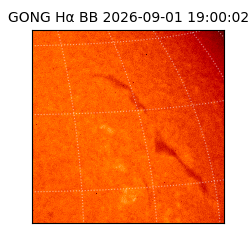 gong - 2026-09-01T19:00:02