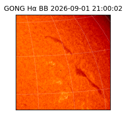 gong - 2026-09-01T21:00:02