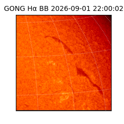 gong - 2026-09-01T22:00:02