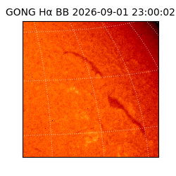 gong - 2026-09-01T23:00:02
