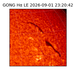 gong - 2026-09-01T23:20:42