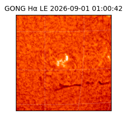 gong - 2026-09-01T01:00:42