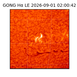 gong - 2026-09-01T02:00:42