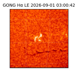 gong - 2026-09-01T03:00:42