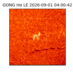 gong - 2026-09-01T04:00:42