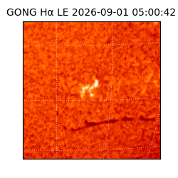 gong - 2026-09-01T05:00:42