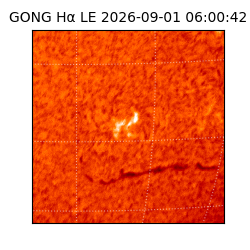 gong - 2026-09-01T06:00:42