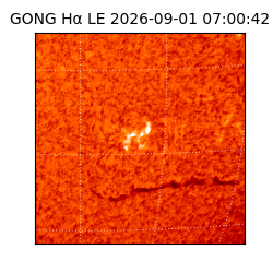 gong - 2026-09-01T07:00:42