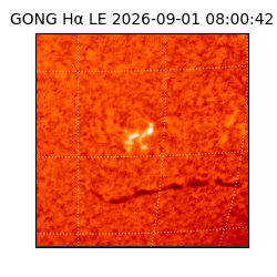 gong - 2026-09-01T08:00:42