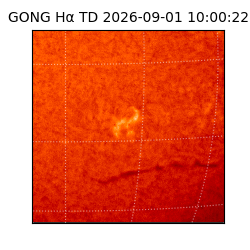 gong - 2026-09-01T10:00:22