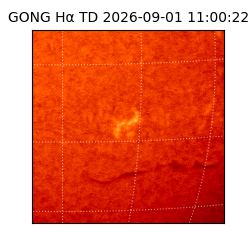 gong - 2026-09-01T11:00:22