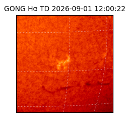 gong - 2026-09-01T12:00:22
