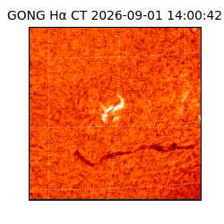 gong - 2026-09-01T14:00:42