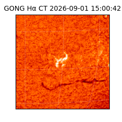 gong - 2026-09-01T15:00:42