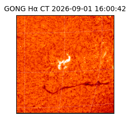 gong - 2026-09-01T16:00:42