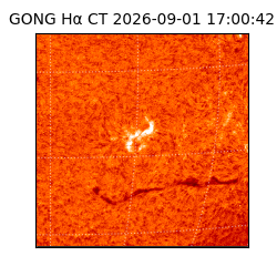 gong - 2026-09-01T17:00:42