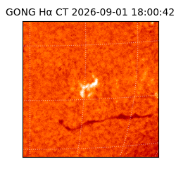 gong - 2026-09-01T18:00:42
