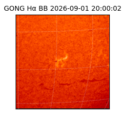 gong - 2026-09-01T20:00:02