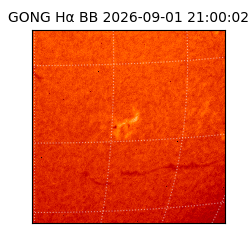 gong - 2026-09-01T21:00:02
