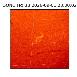 gong - 2026-09-01T23:00:02
