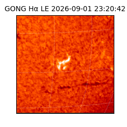 gong - 2026-09-01T23:20:42