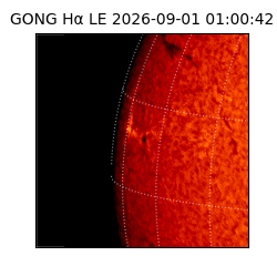 gong - 2026-09-01T01:00:42