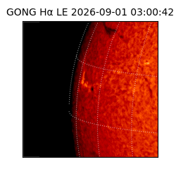 gong - 2026-09-01T03:00:42