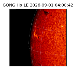 gong - 2026-09-01T04:00:42