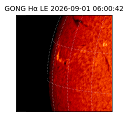 gong - 2026-09-01T06:00:42