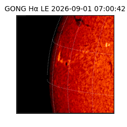 gong - 2026-09-01T07:00:42