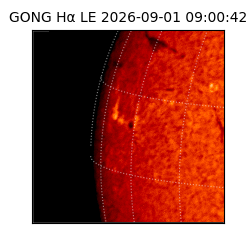 gong - 2026-09-01T09:00:42