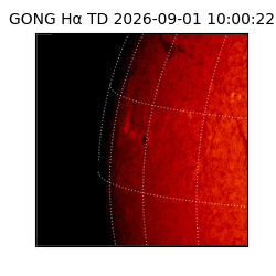 gong - 2026-09-01T10:00:22