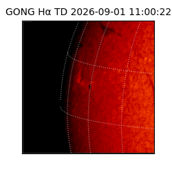 gong - 2026-09-01T11:00:22