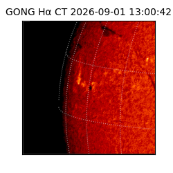 gong - 2026-09-01T13:00:42
