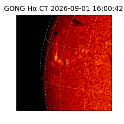 gong - 2026-09-01T16:00:42