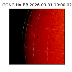 gong - 2026-09-01T19:00:02
