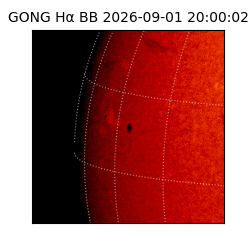 gong - 2026-09-01T20:00:02