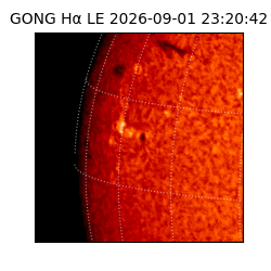 gong - 2026-09-01T23:20:42