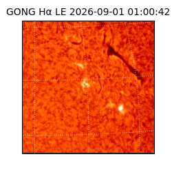 gong - 2026-09-01T01:00:42