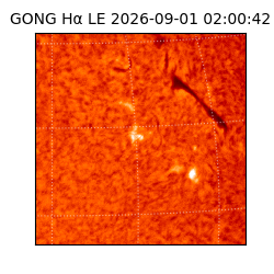 gong - 2026-09-01T02:00:42