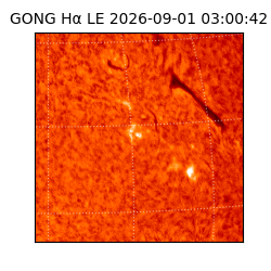 gong - 2026-09-01T03:00:42