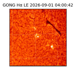 gong - 2026-09-01T04:00:42
